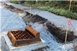 A sewer catch basin on a street that is about to be paved