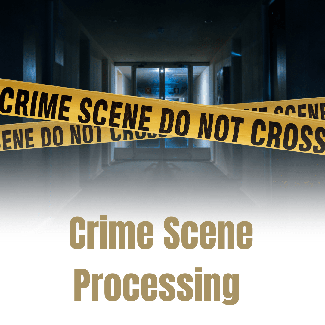 CSI Responsibilities (1)