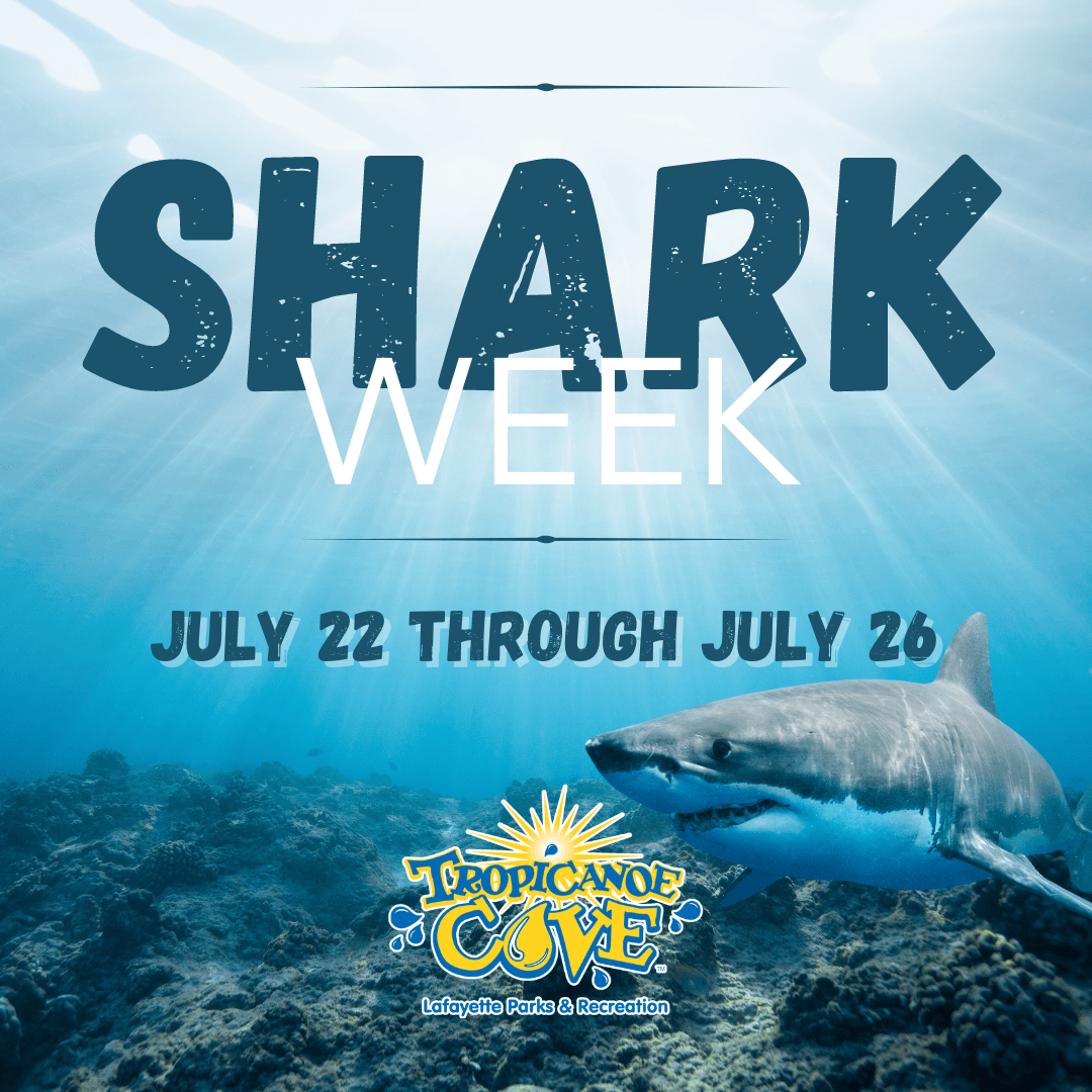 Shark week SM