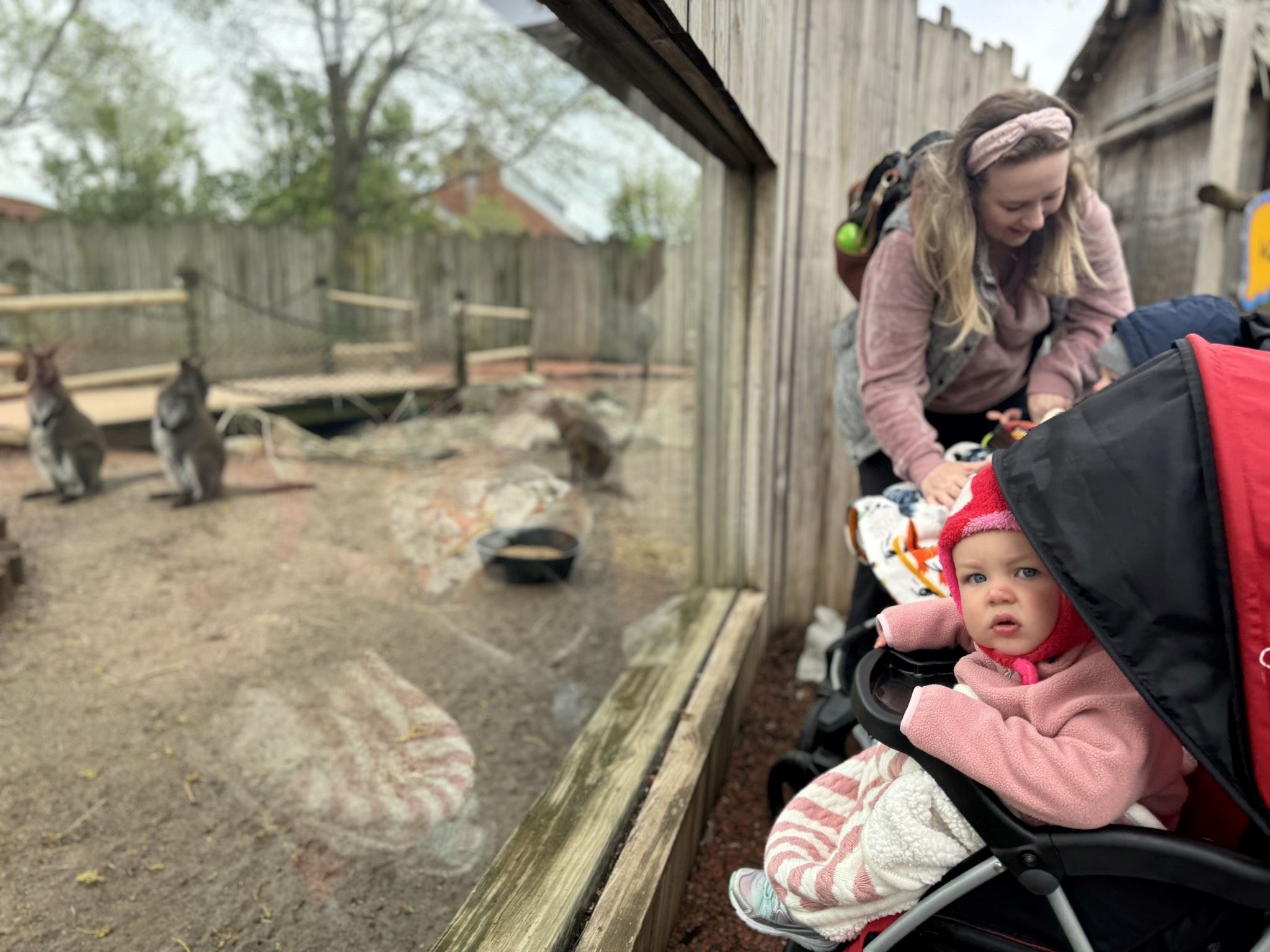 436165932_869407455225842_7073270591021215132_n