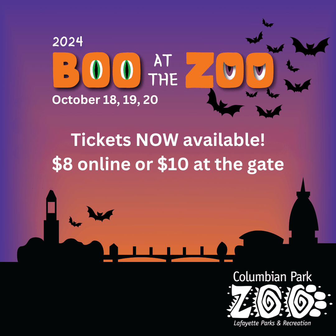 BATZ save-the-date IG square (10)