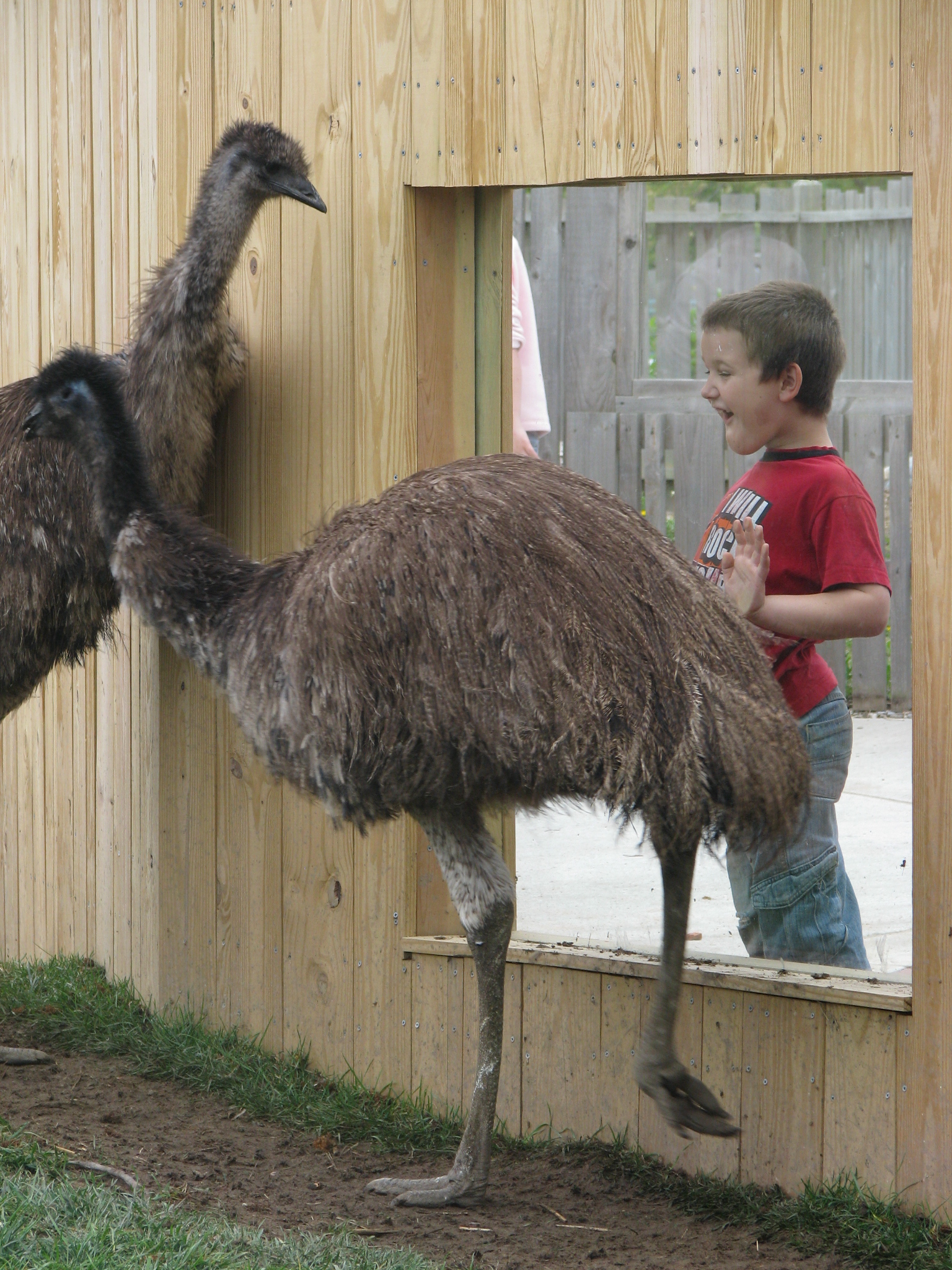 Opening Day 2010 013