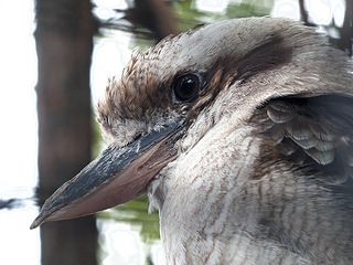 18811230975_c8df9042db_n