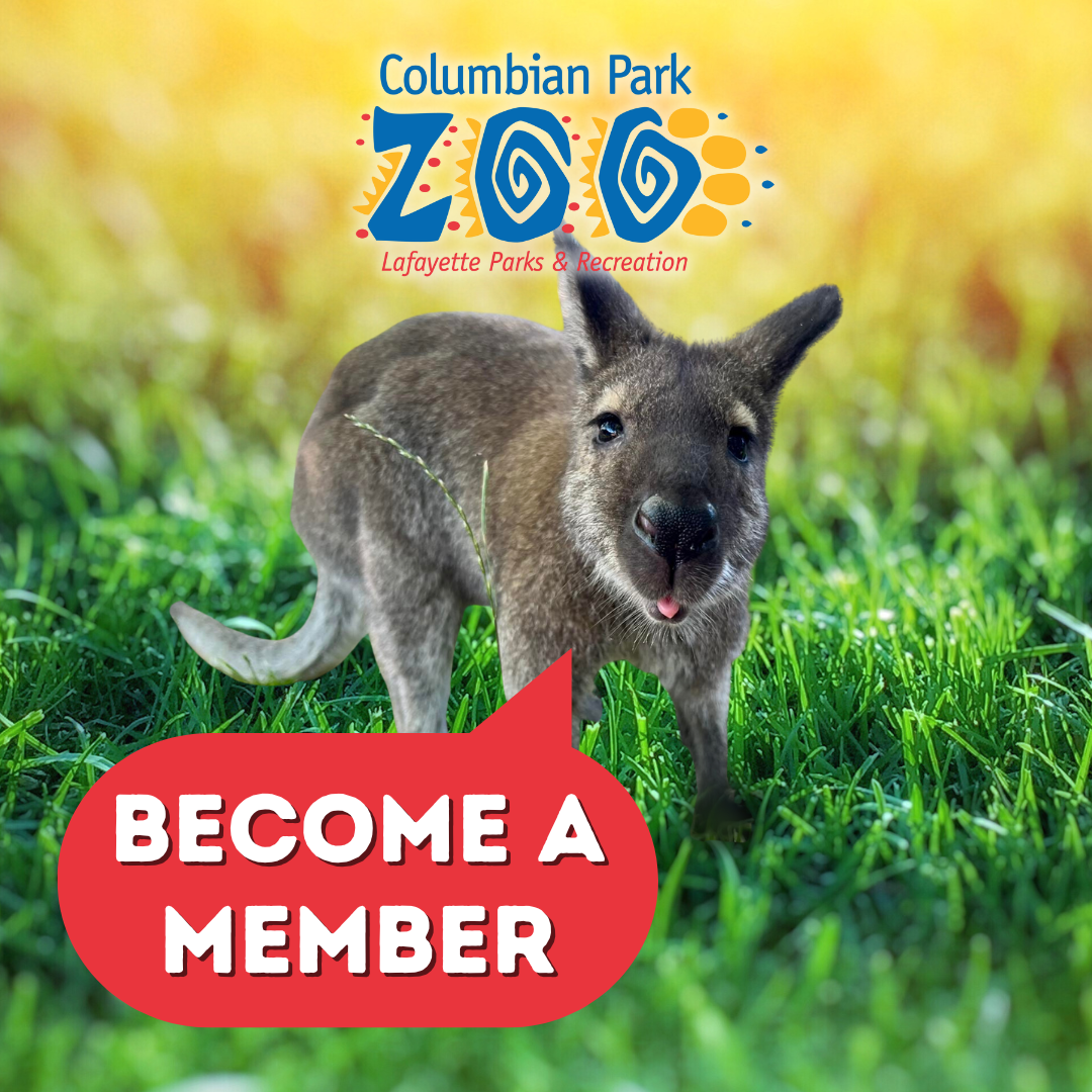 Become a member!
